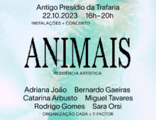 ANIMAIS: Instalações e concerto