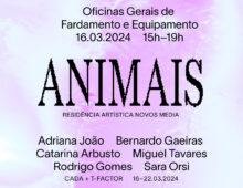 ANIMAIS: 2ª exposição, em Lisboa